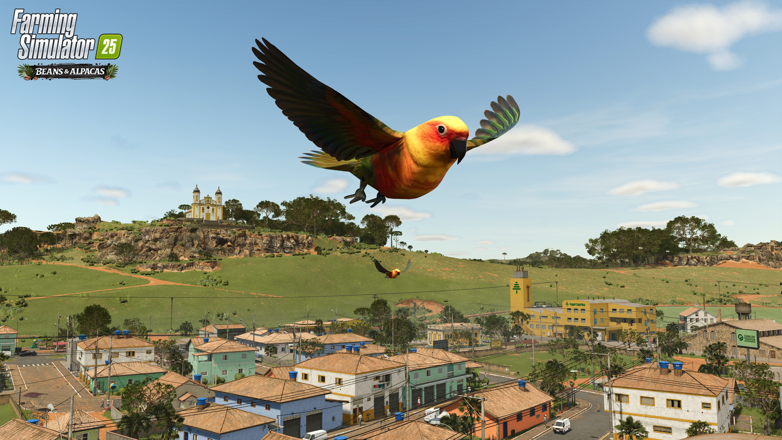 Papagaios e jacarés