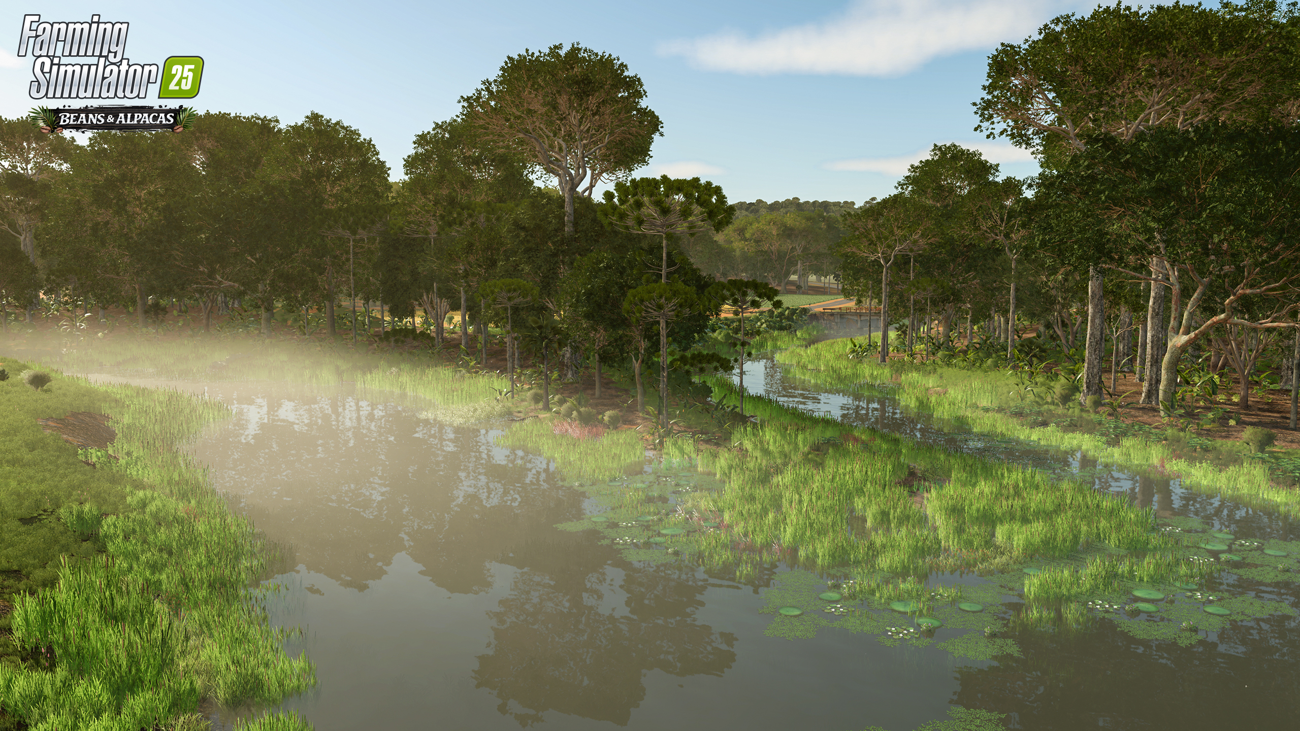 Terra roxa e floresta
