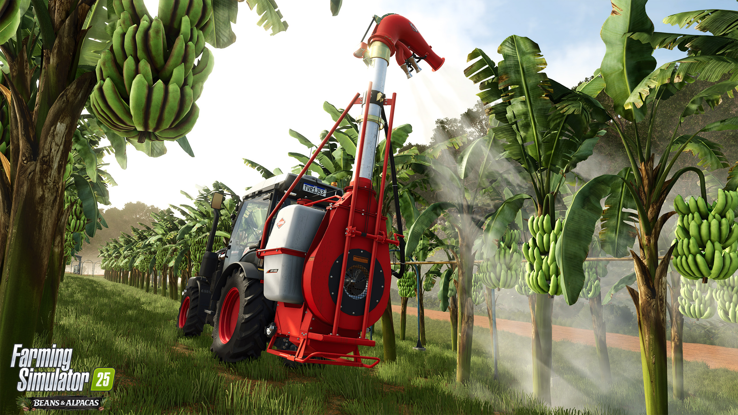 Spraying Affected Banana Plants