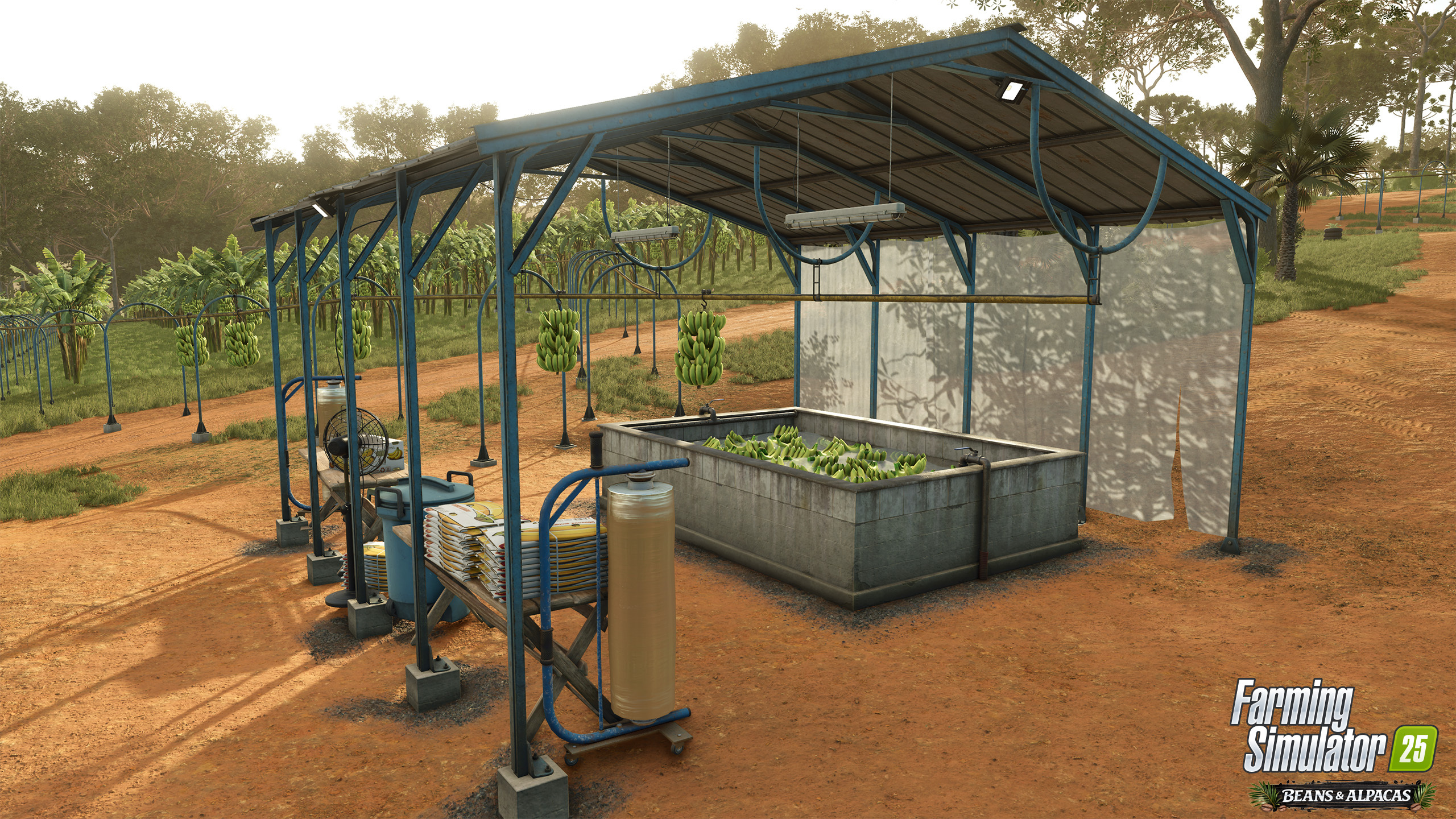 Banana Washing and Palletizing