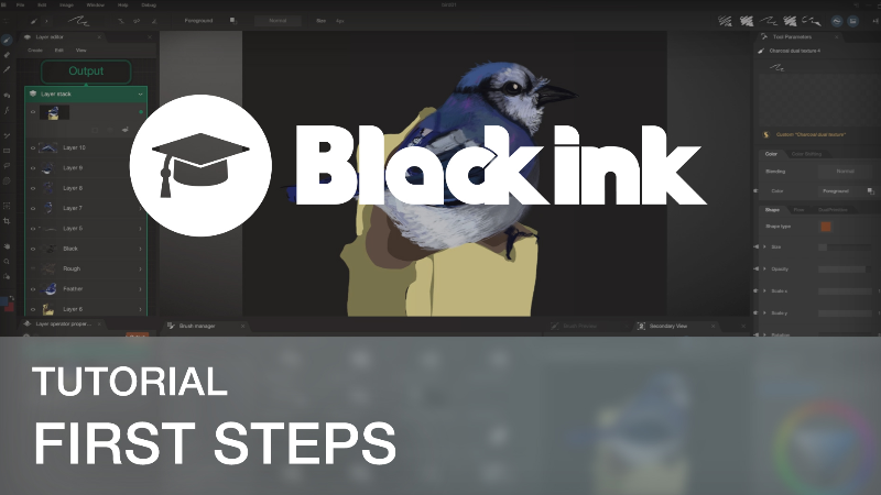 Steam Ink Black Ink - Black Ink - First steps - Steam News