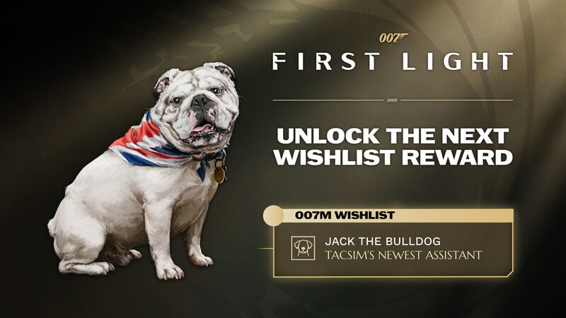 Meet Jack The Bulldog!