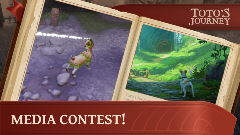 Media contest!