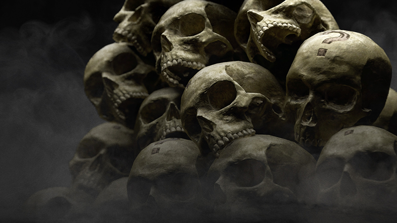 Skulls & Campaign Remix