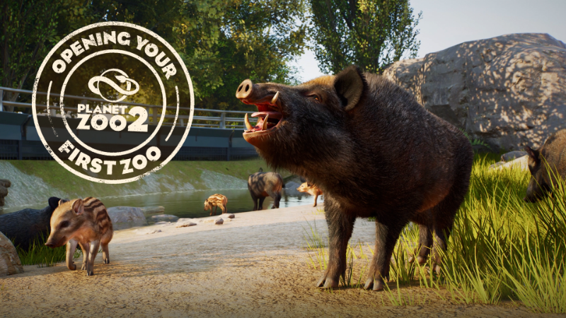 Planet Zoo 2 | Opening Your First Zoo