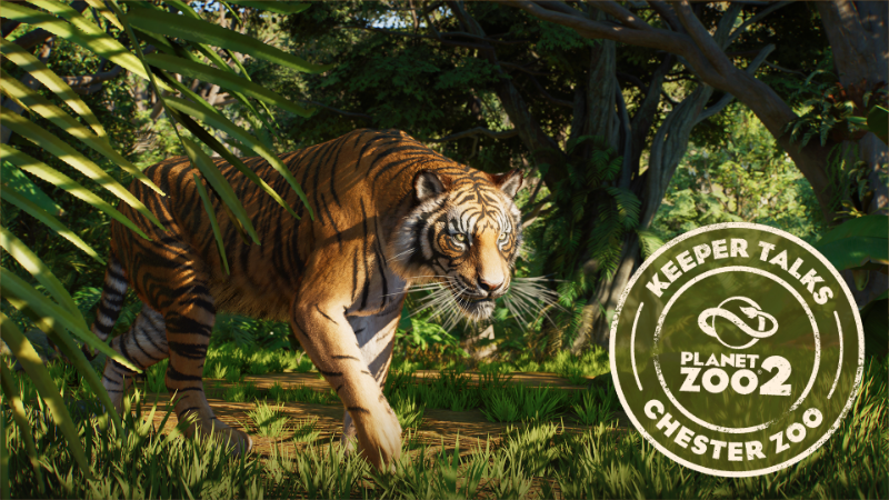 Planet Zoo 2 | Keeper Talks - Sumatran Tiger
