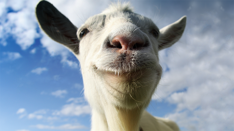 Goat Simulator Survey
