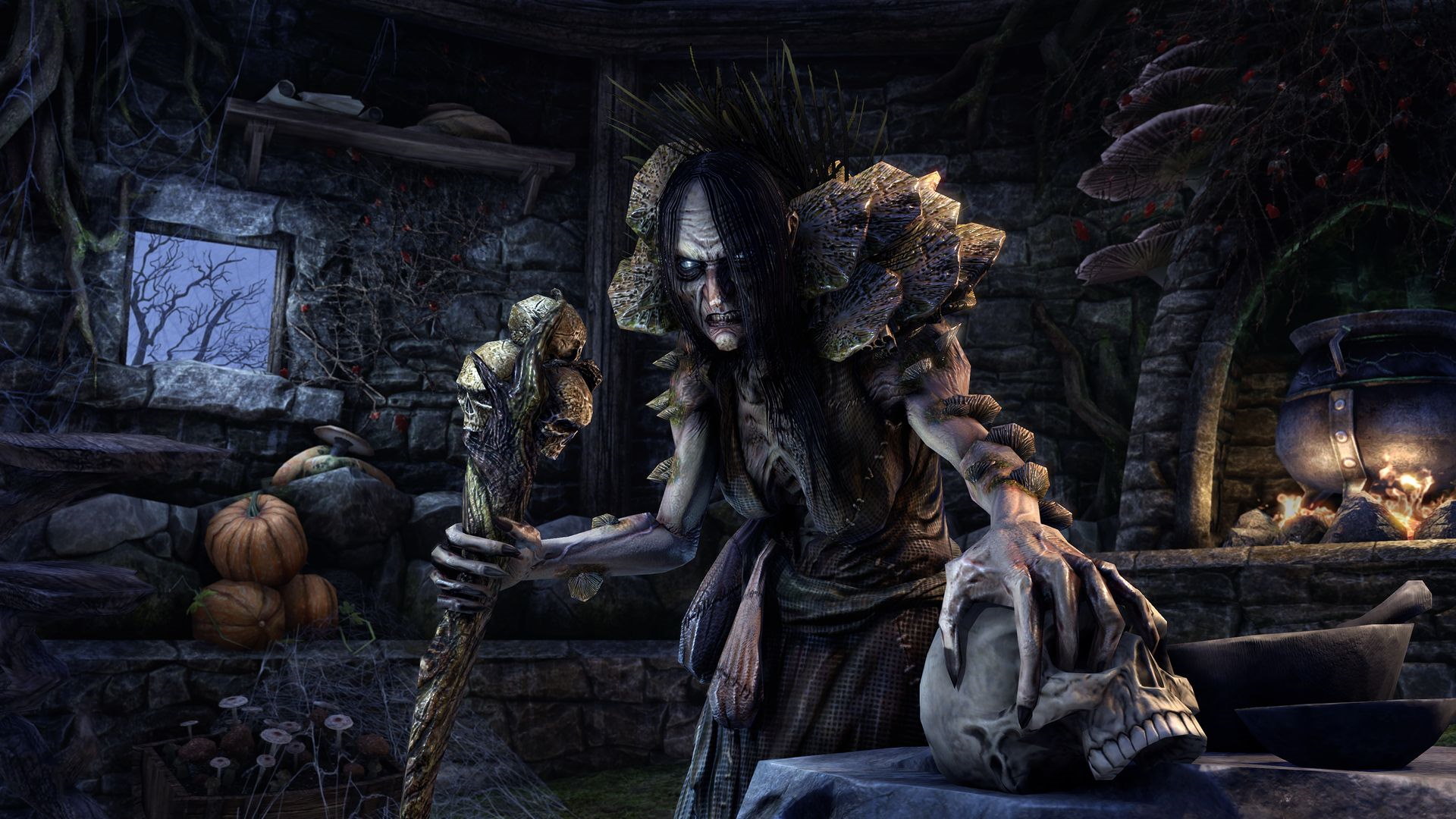 The Elder Scrolls Online Horns Of The Reach Release Date and Details