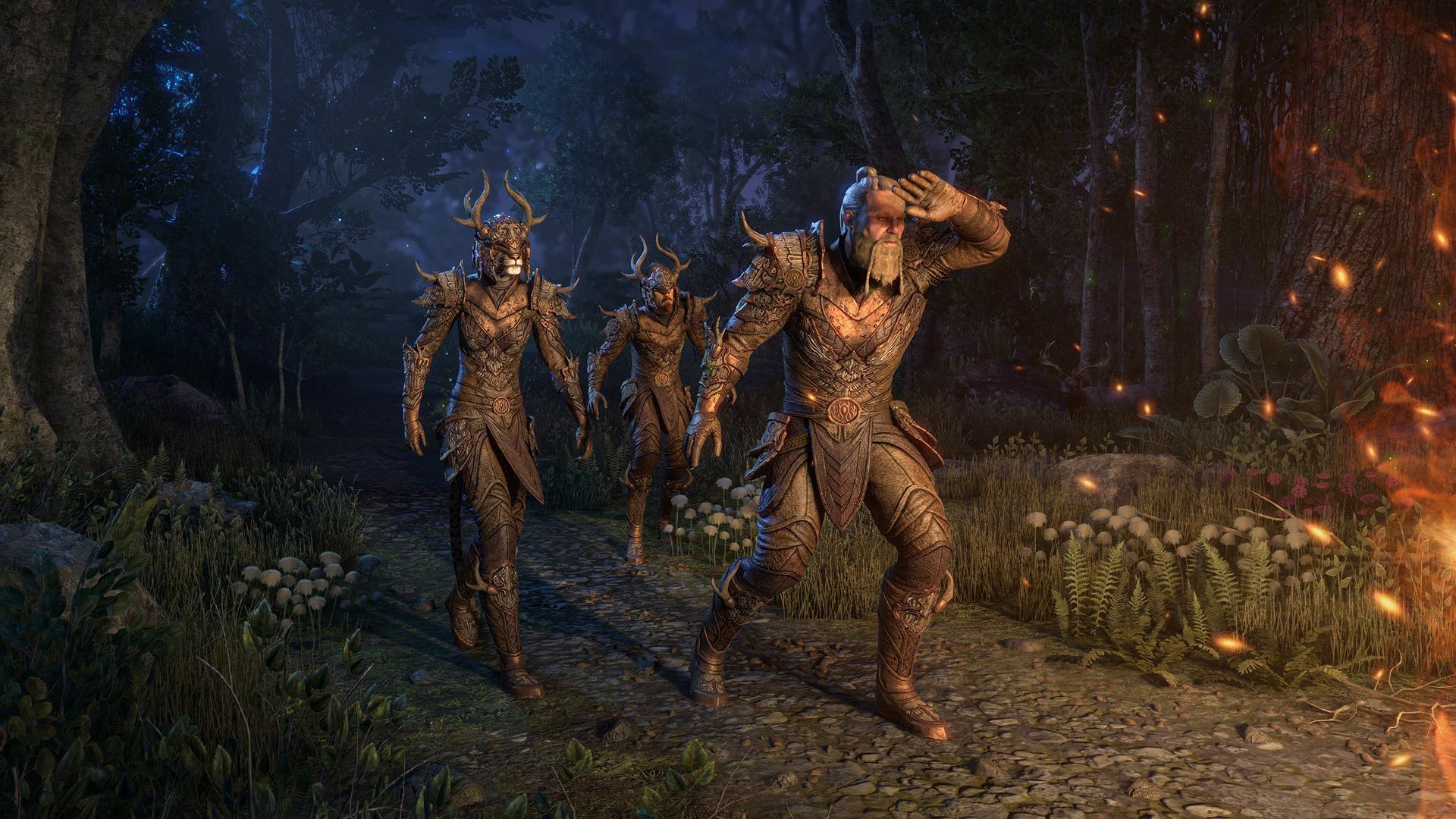 ESO Forum Improvement Survey - Page 3 — Elder Scrolls Online