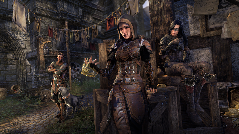 Meet the Character(s)—The Daggerfall Thieves Guild