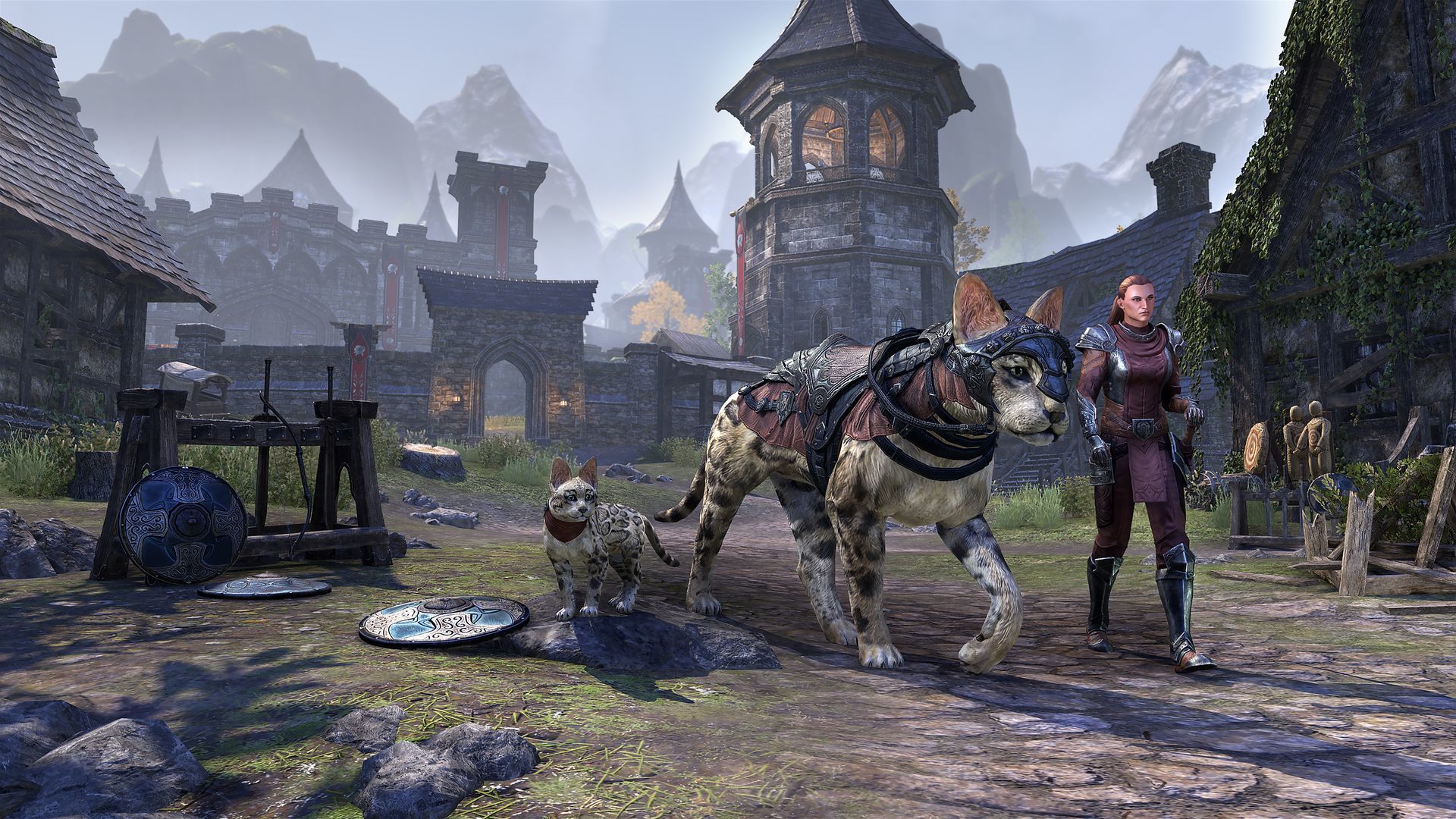 The Orsinium DLC pack for The Elder Scrolls Online is ready to