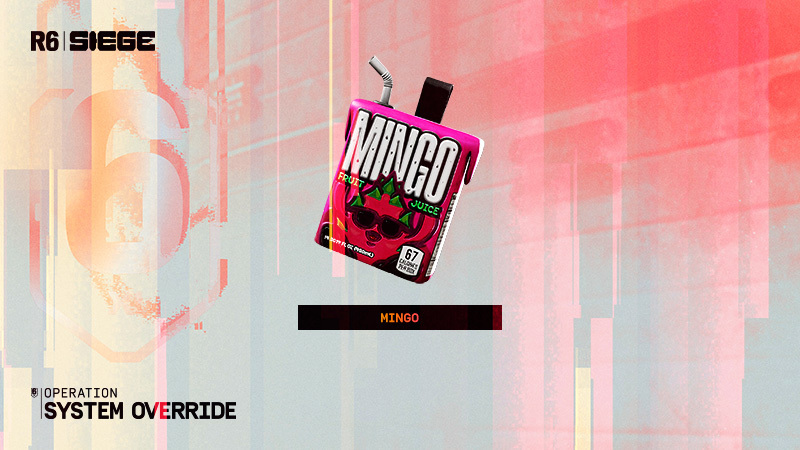 Y11S2 Streamer Charm