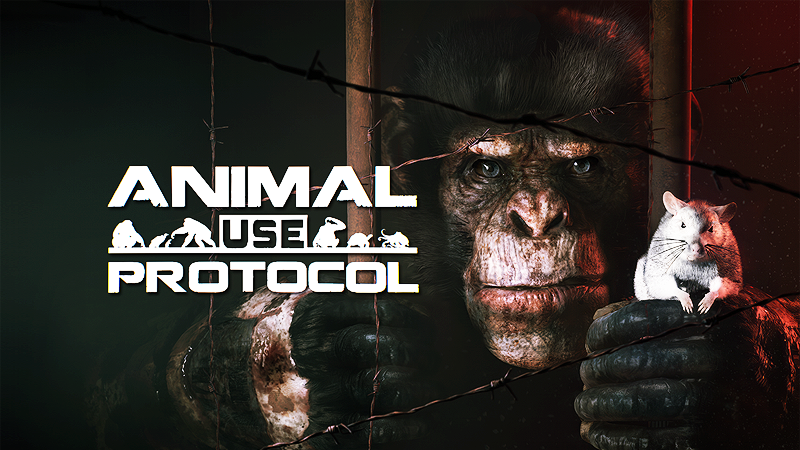 Our Next Game Announcement